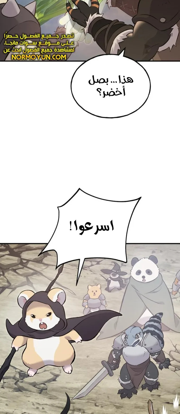صفحة 19