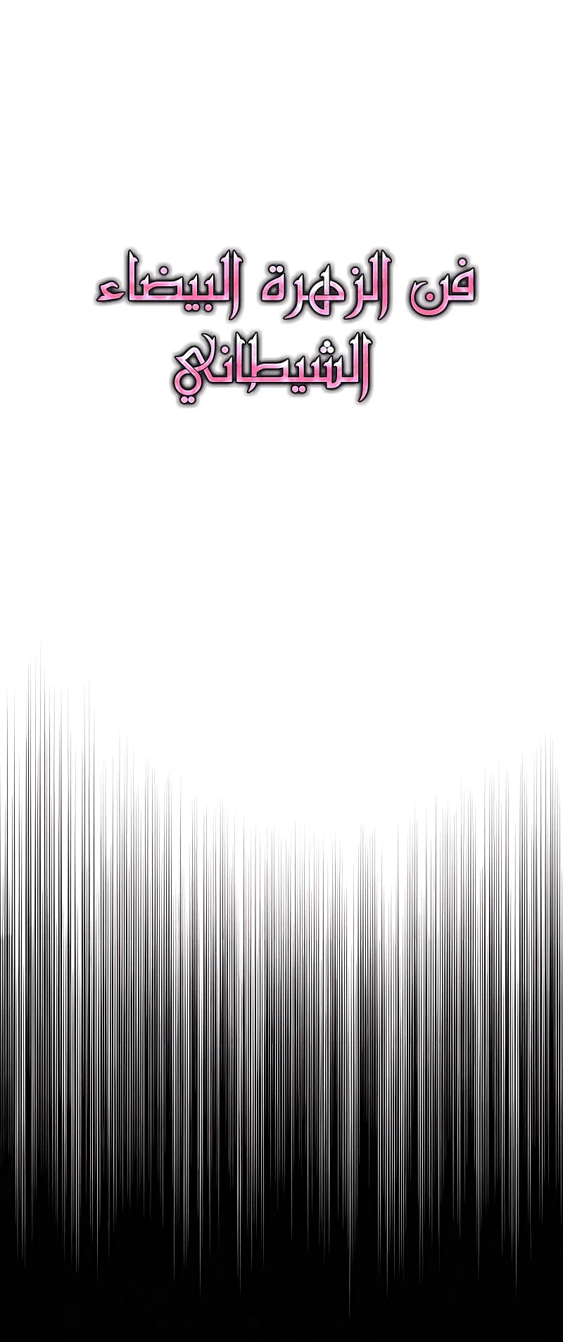 صفحة 17