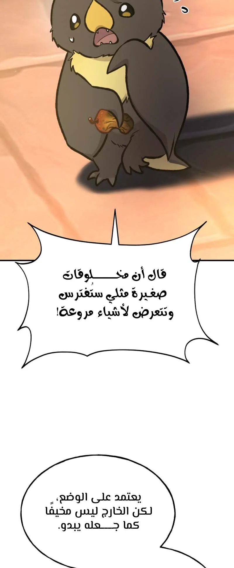 صفحة 13