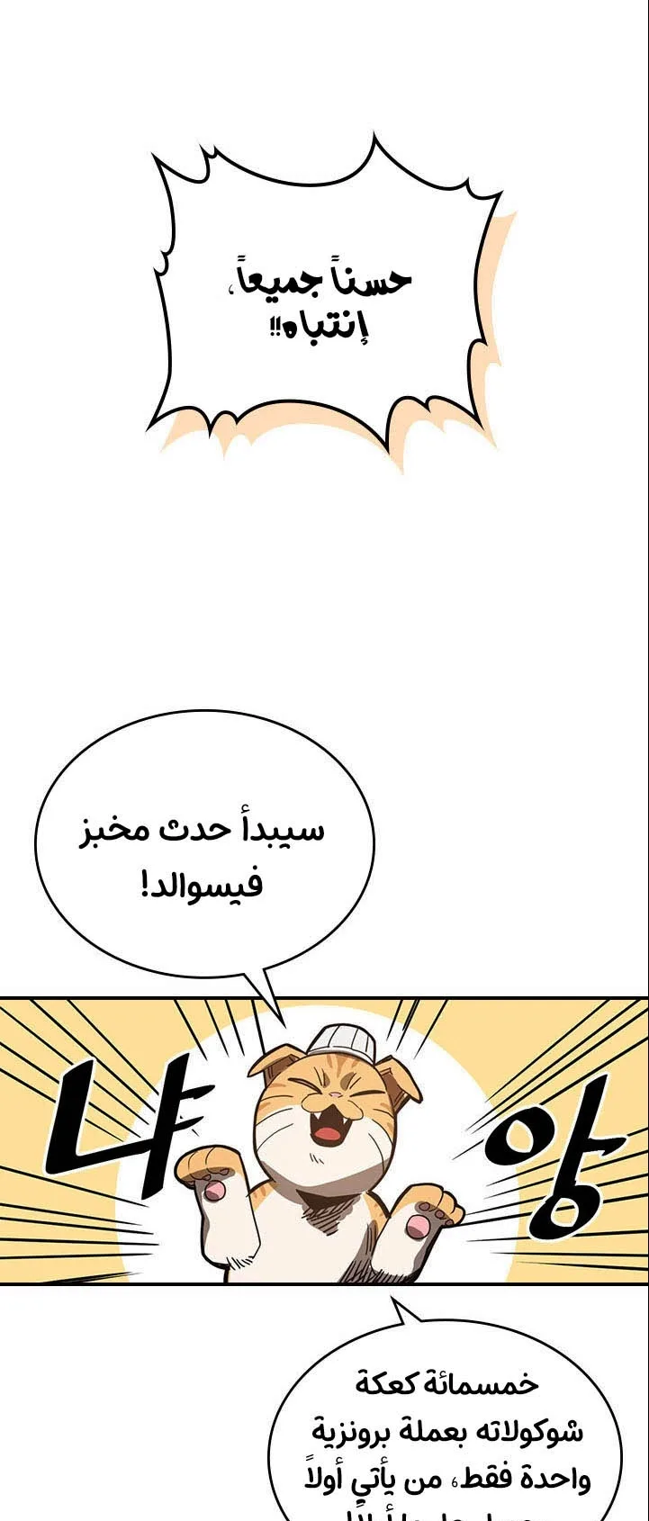 صفحة 13