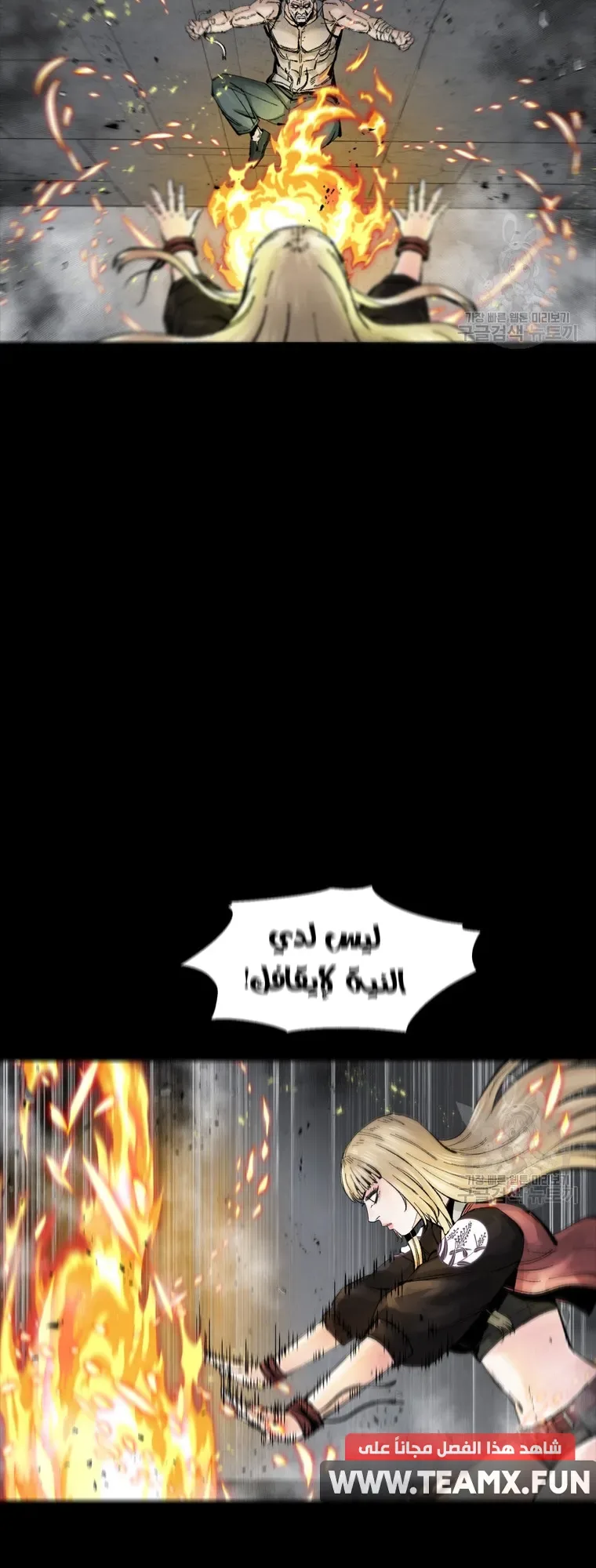 صفحة 41