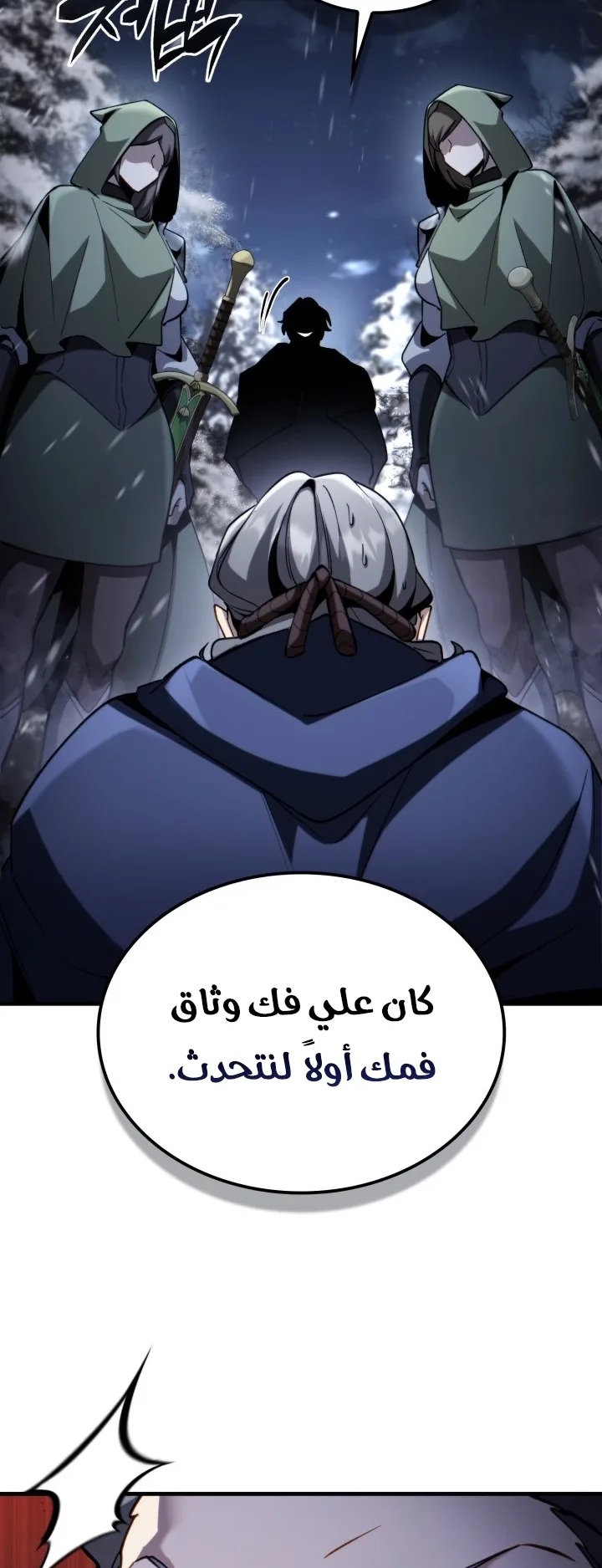 صفحة 17