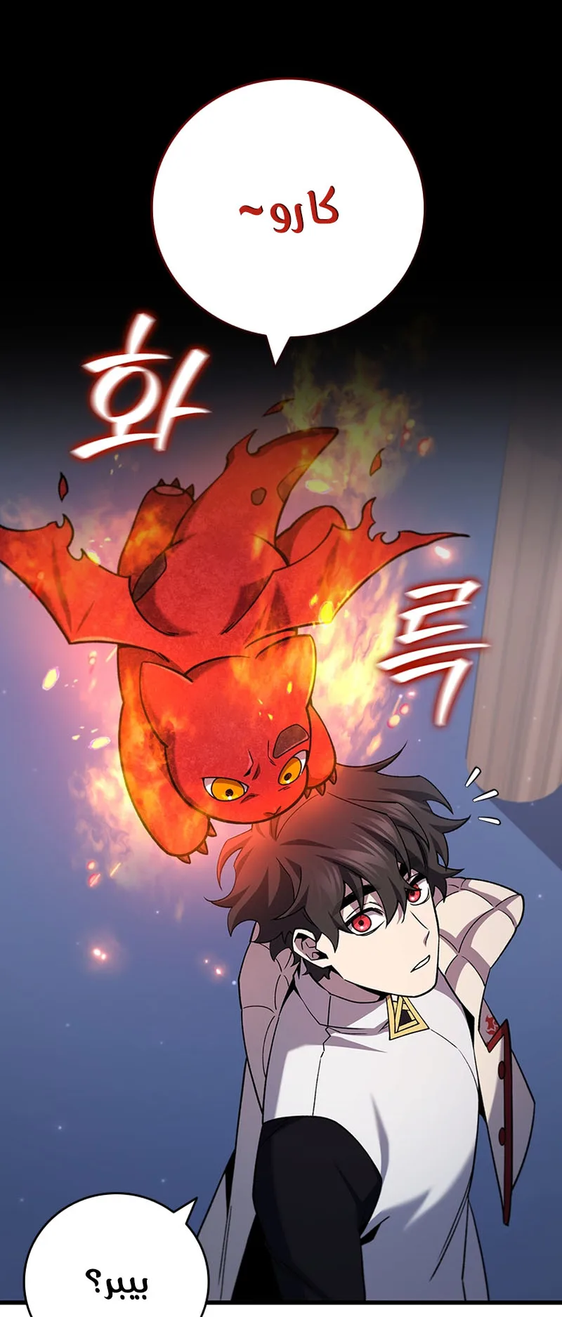 صفحة 13