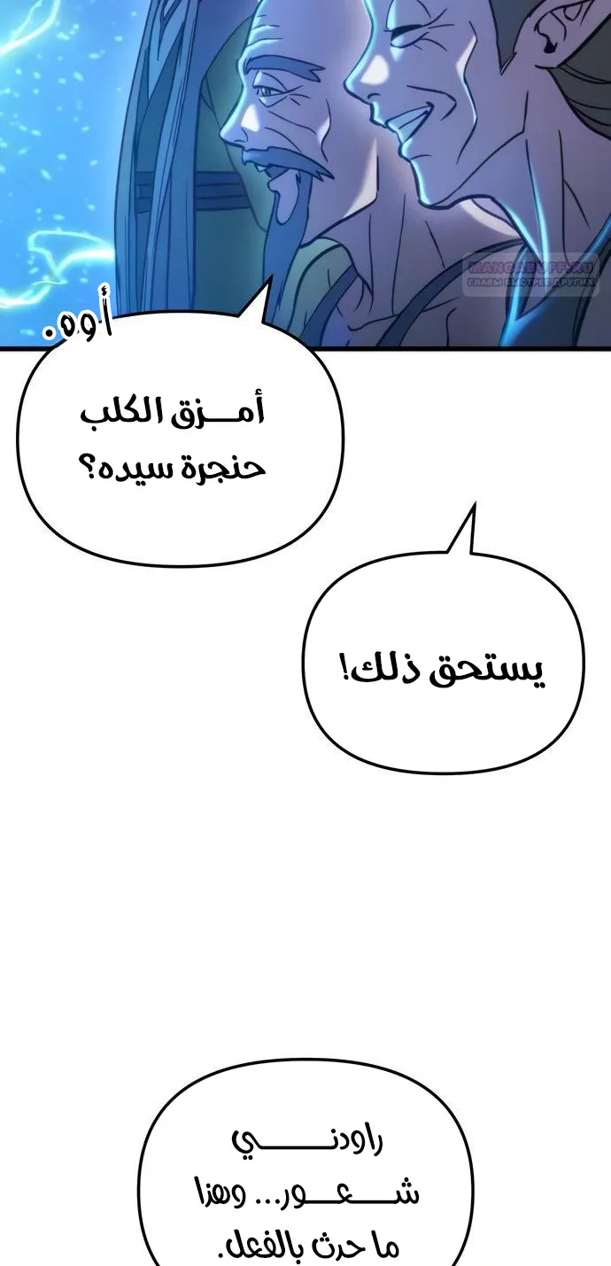 صفحة 13