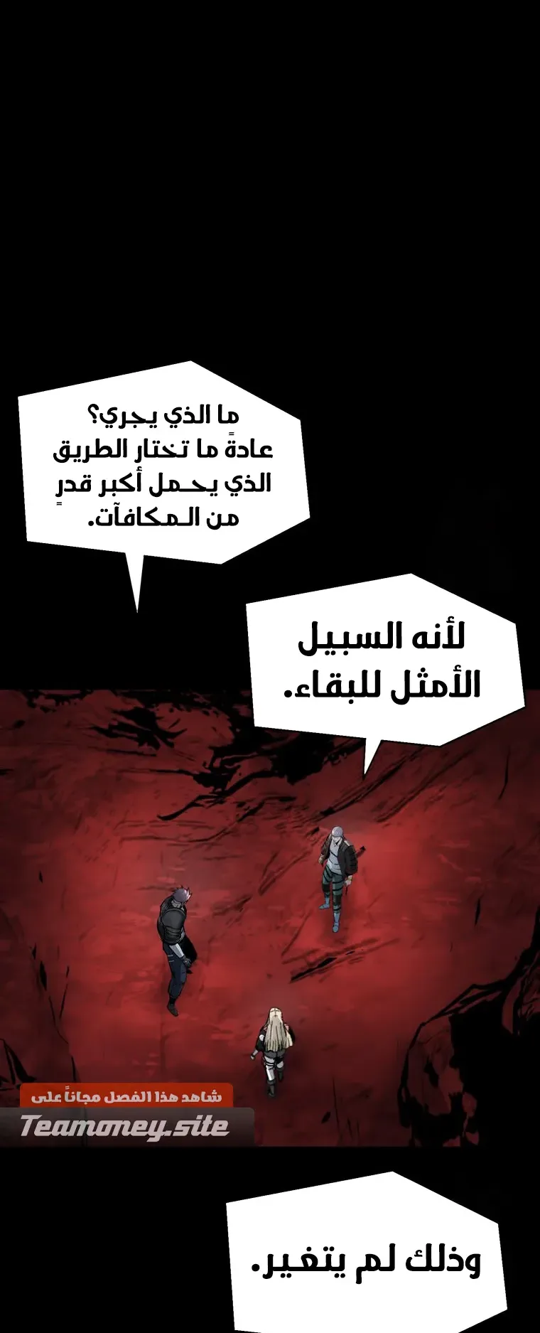 صفحة 14