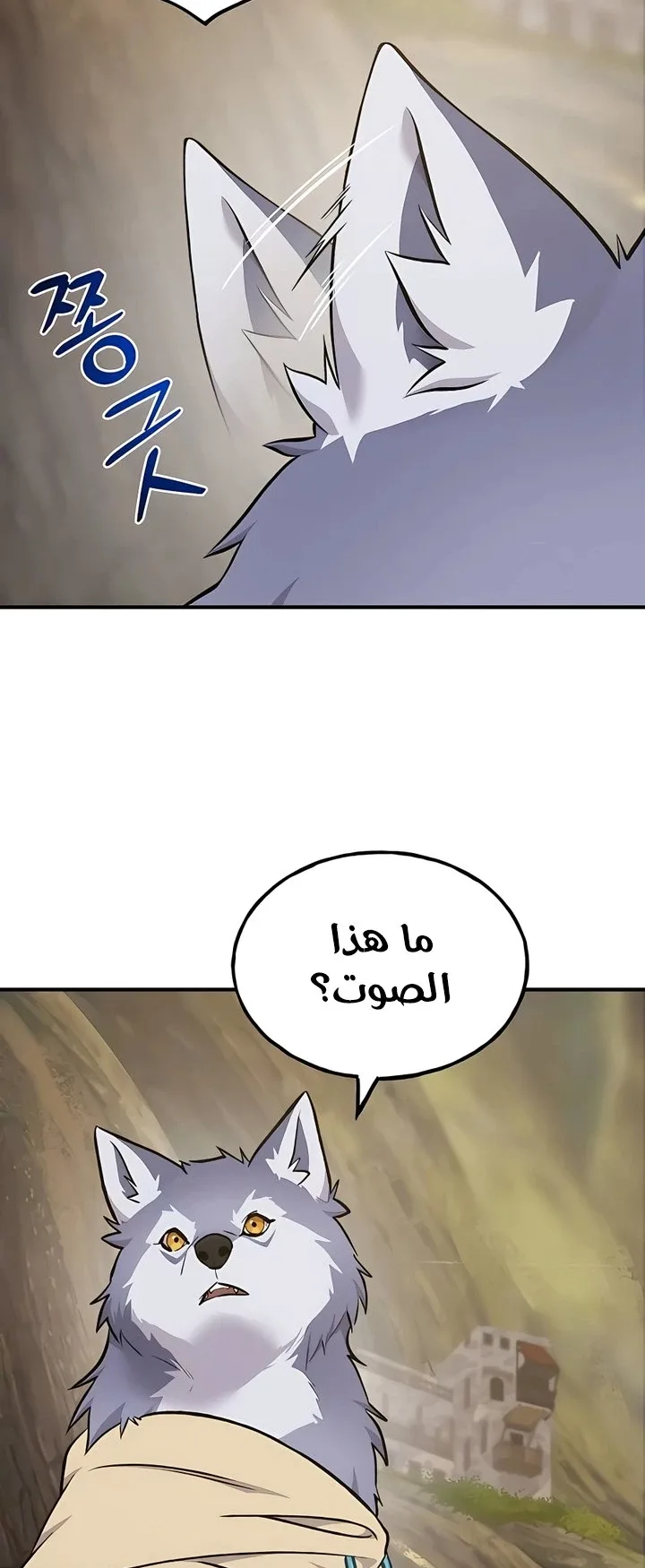 صفحة 43