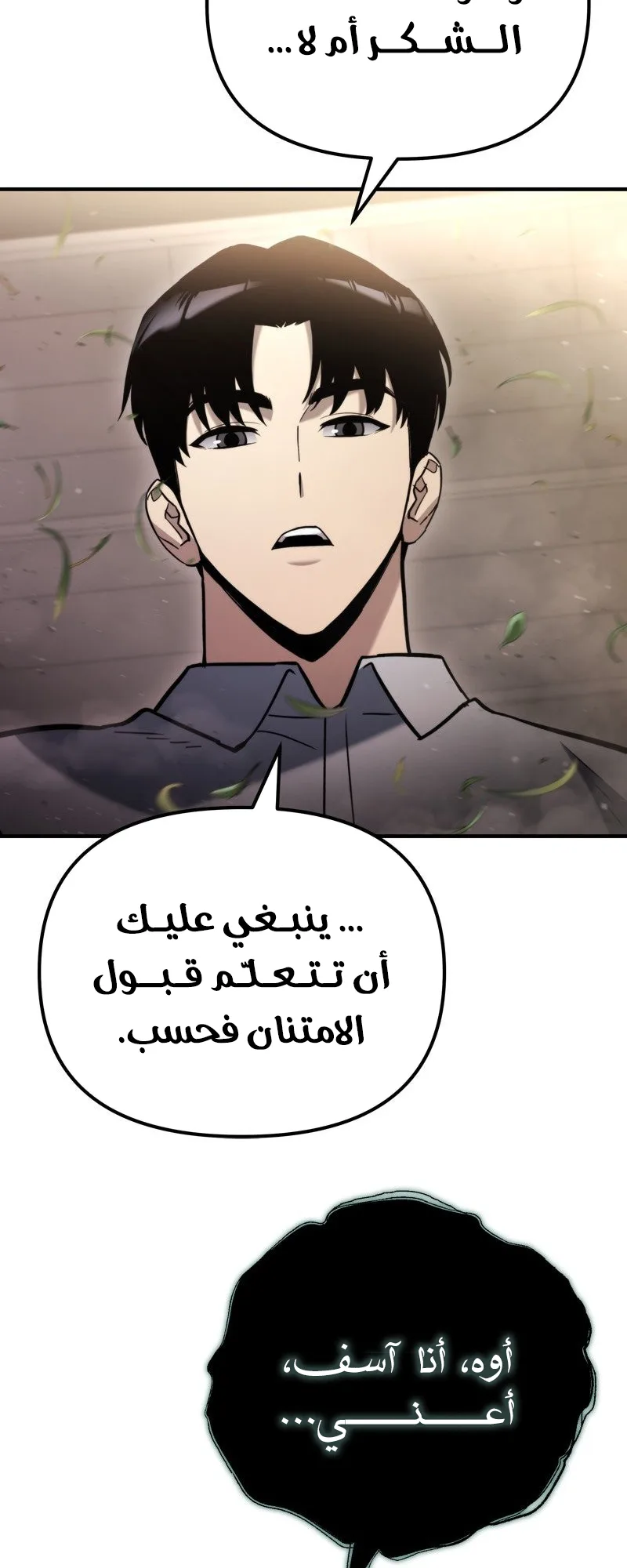 صفحة 13