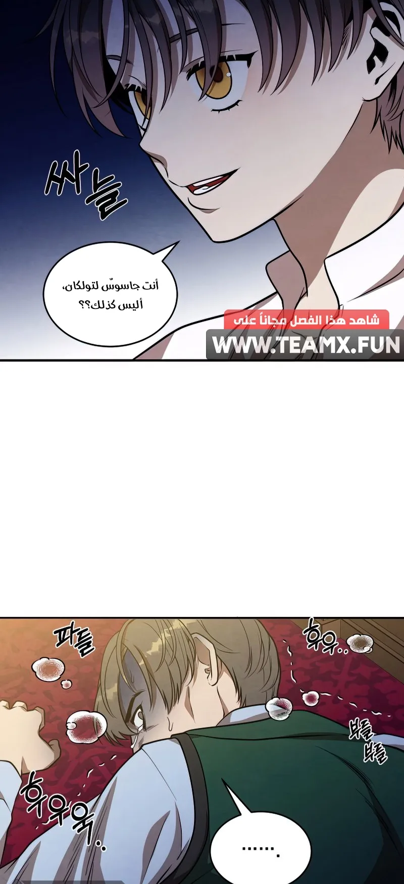 صفحة 31