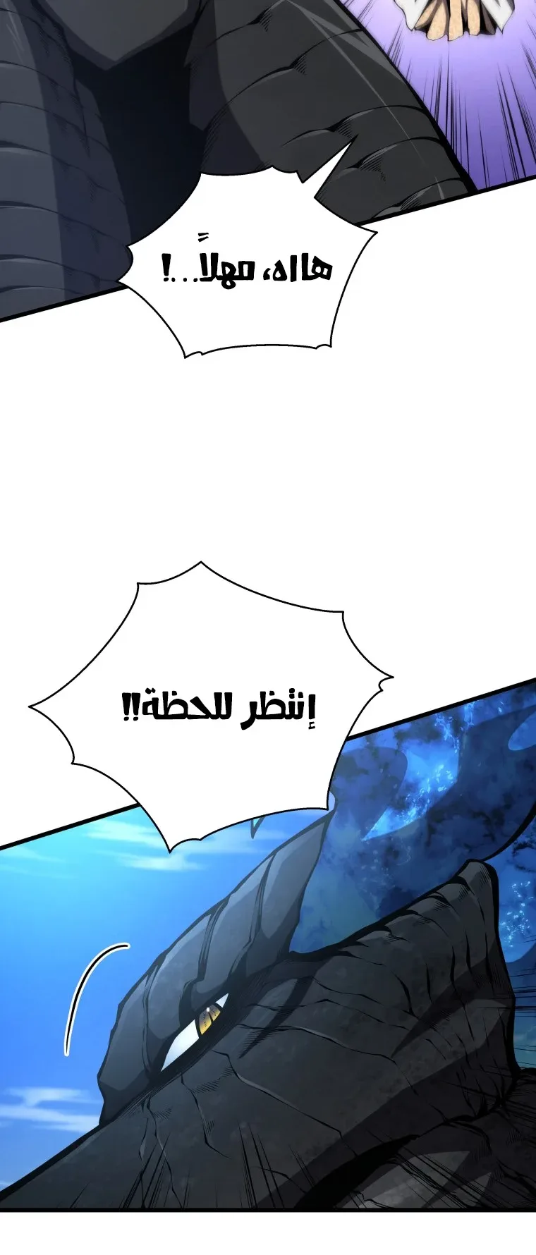 صفحة 24