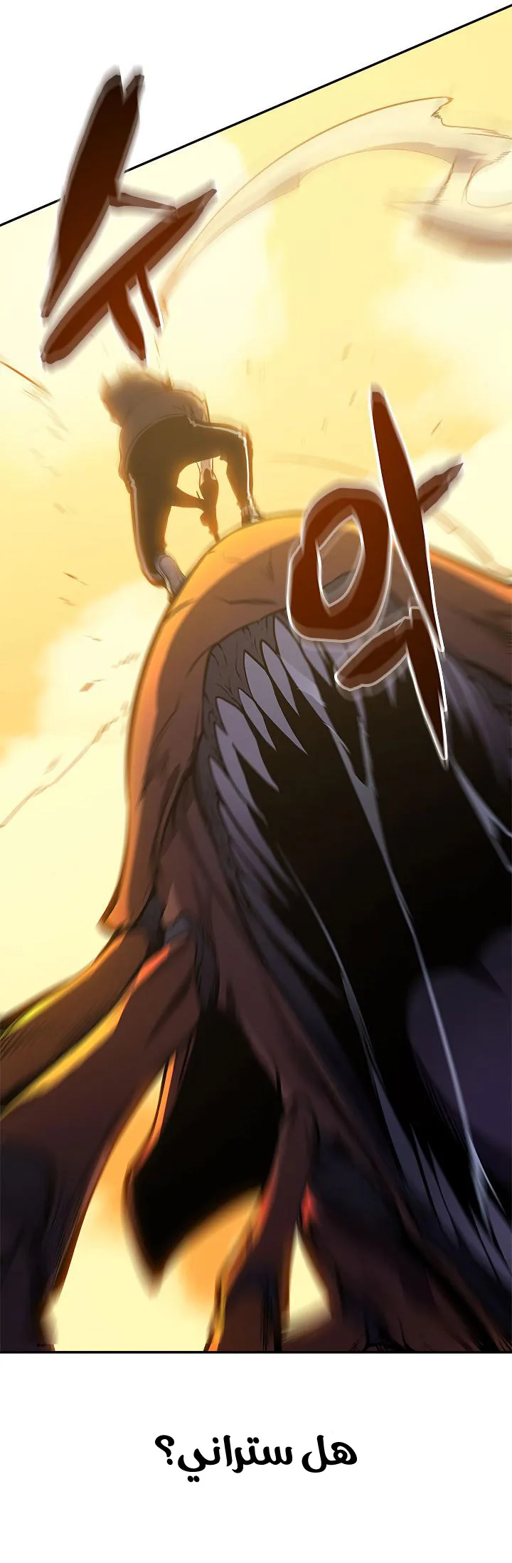 صفحة 55