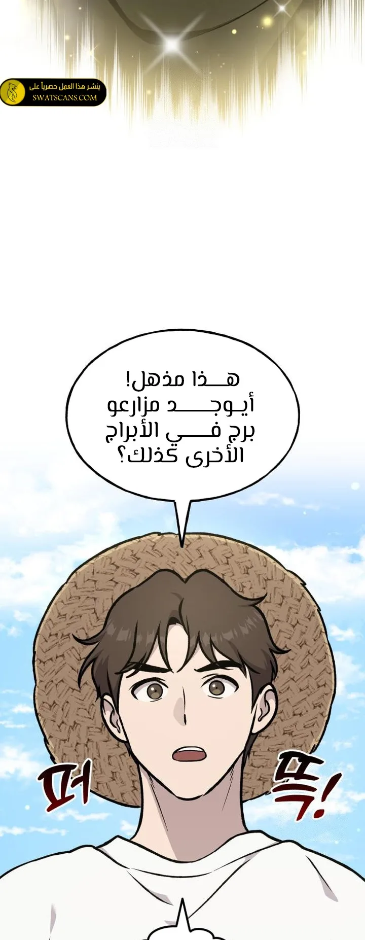 صفحة 17