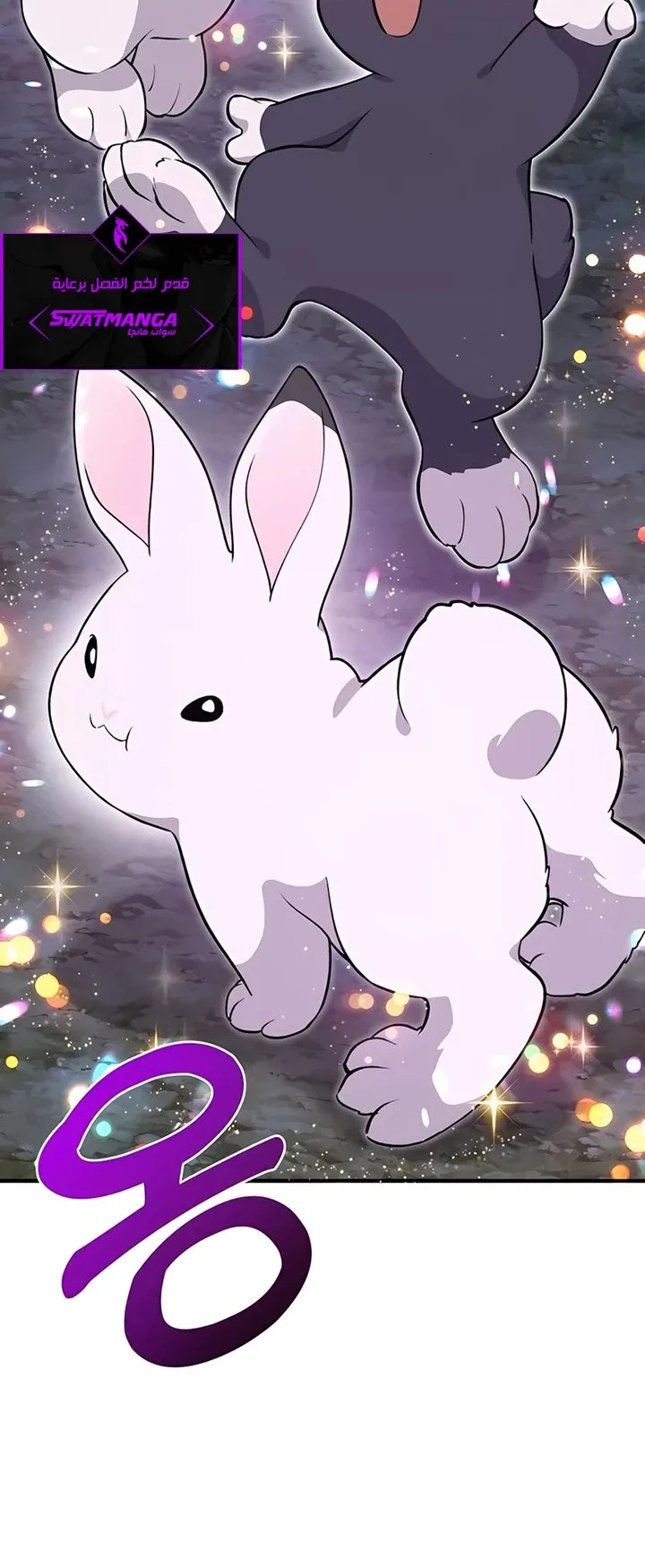 صفحة 11