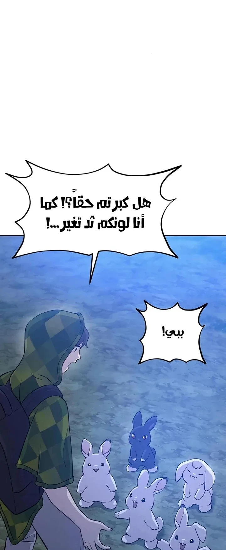 صفحة 13