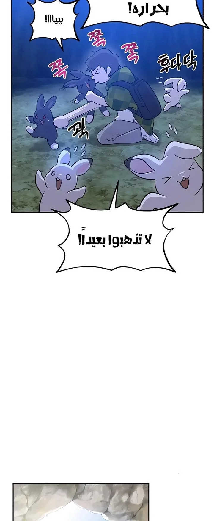 صفحة 17