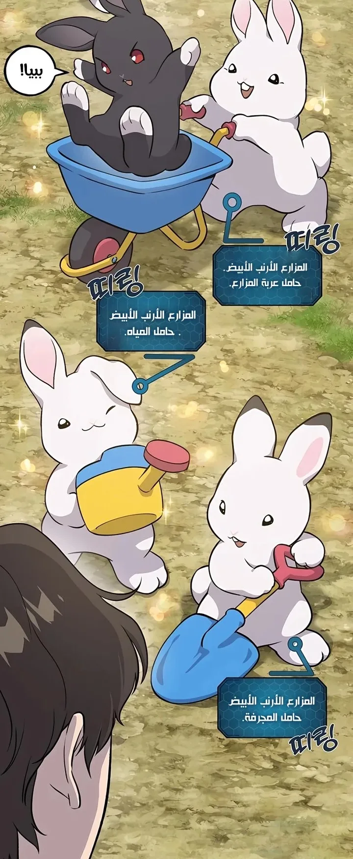 صفحة 24