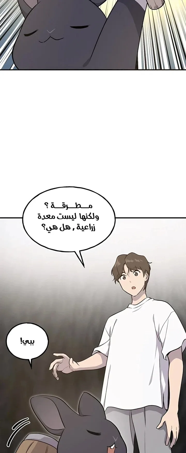 صفحة 29