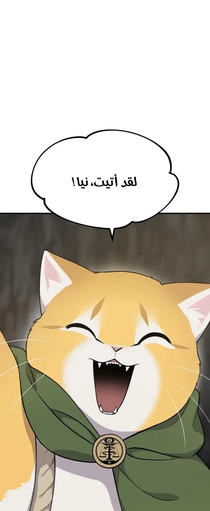 صفحة 67