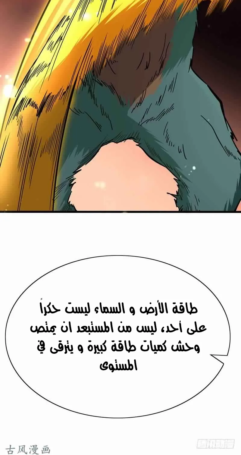 صفحة 21