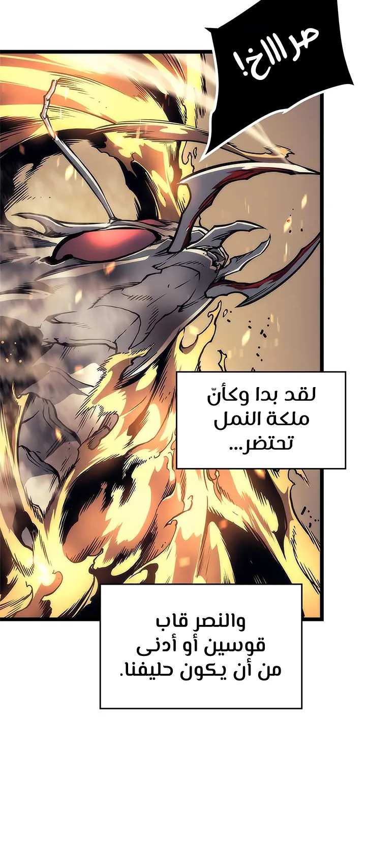 صفحة 43