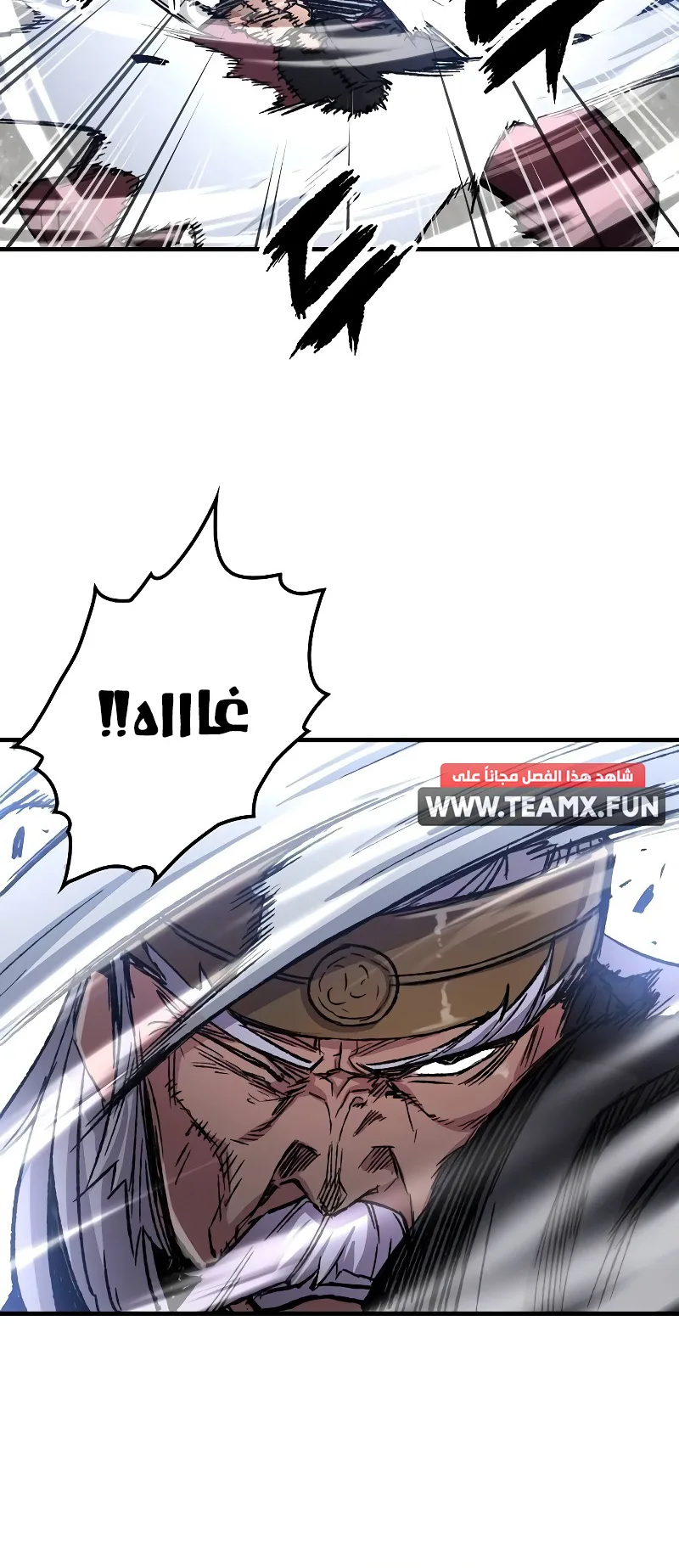 صفحة 17