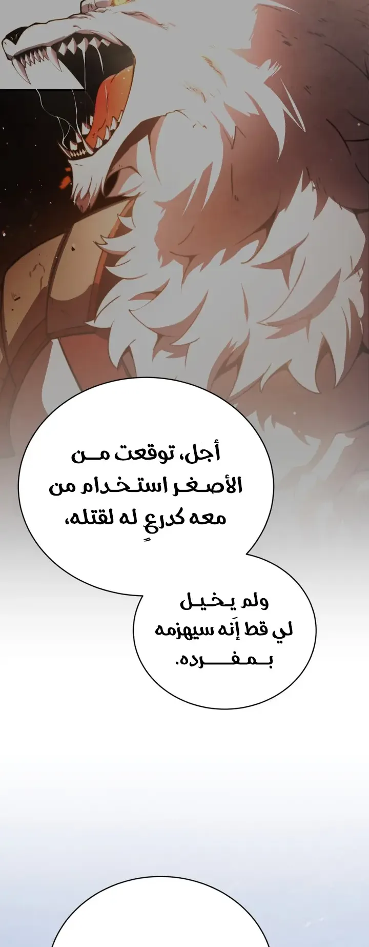 صفحة 13