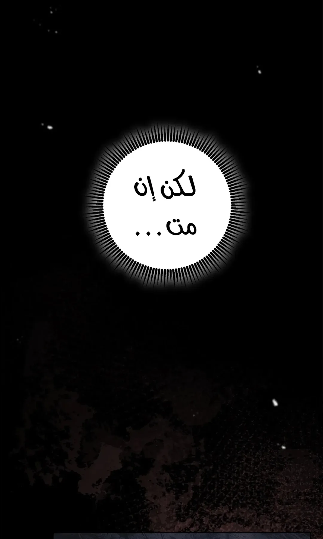 صفحة 14
