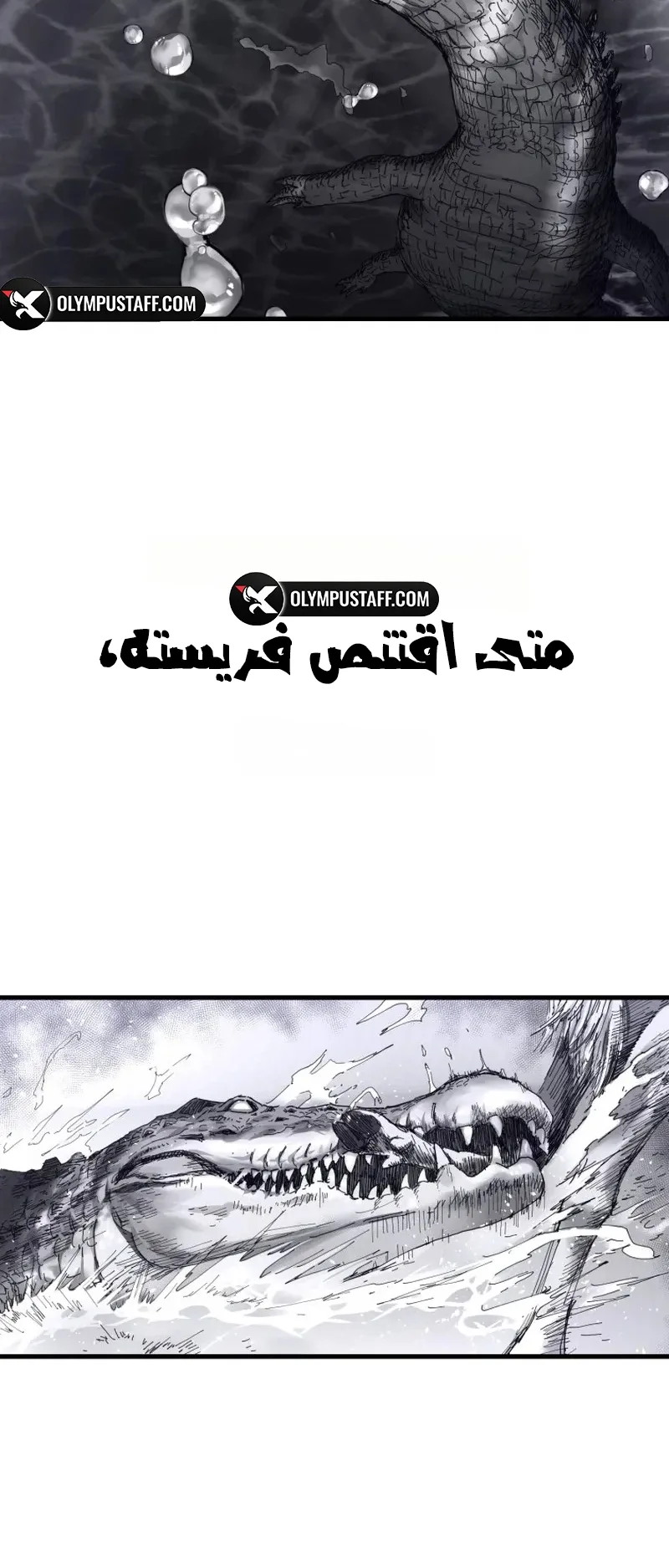 crocodile الفصل 1 صفحة 13