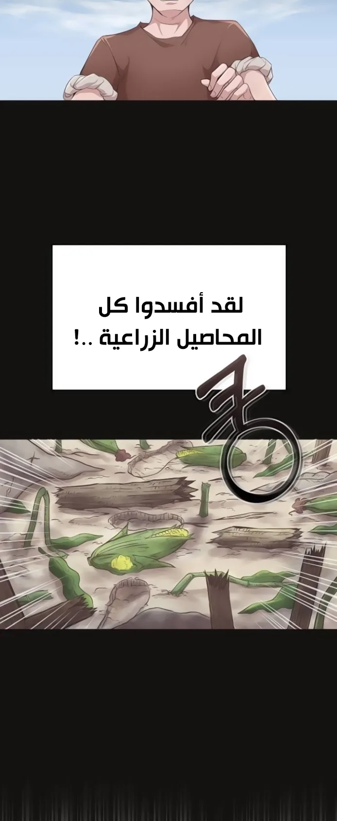 صفحة 17