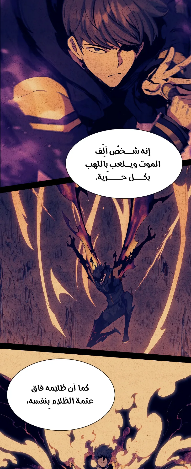 صفحة 42