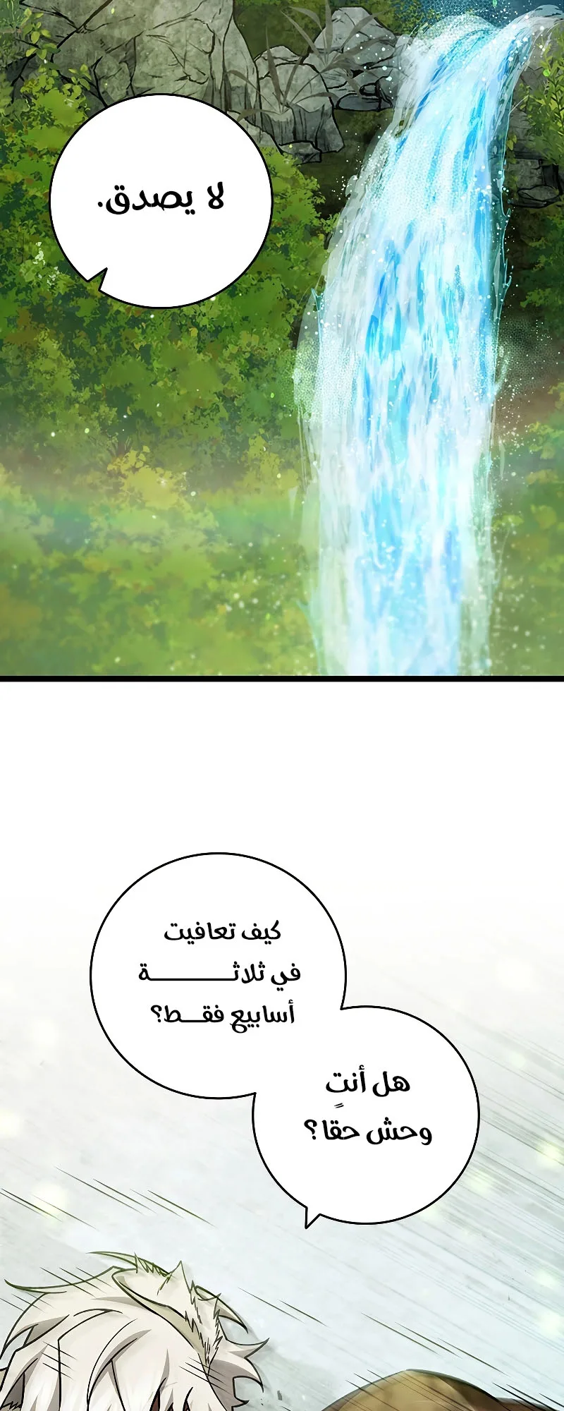 صفحة 11