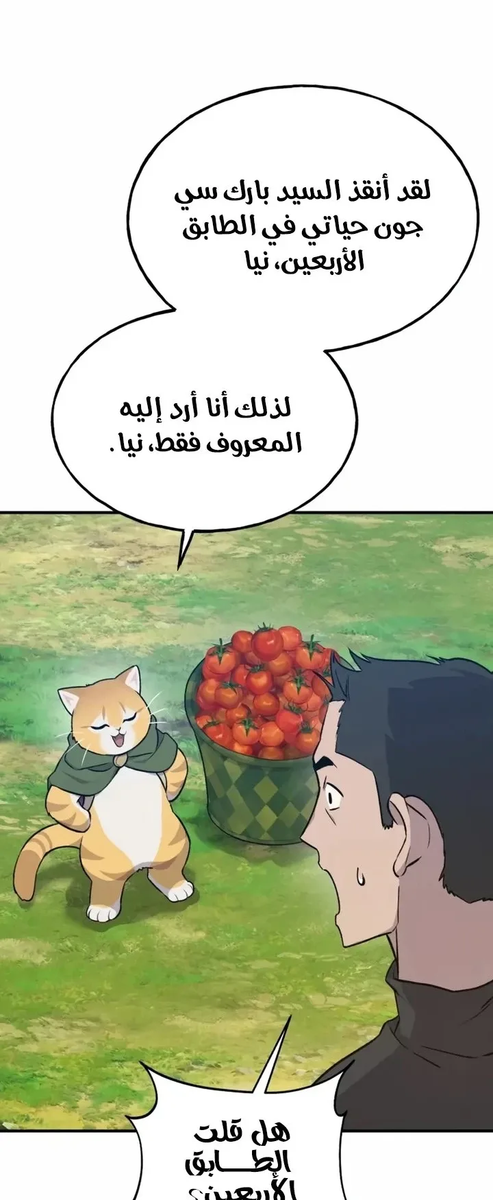 صفحة 12
