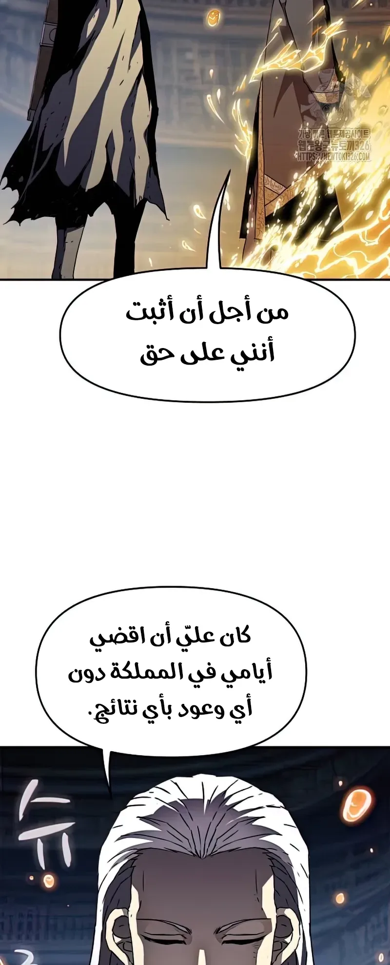 صفحة 13