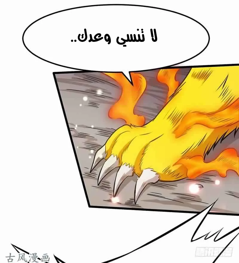 صفحة 11