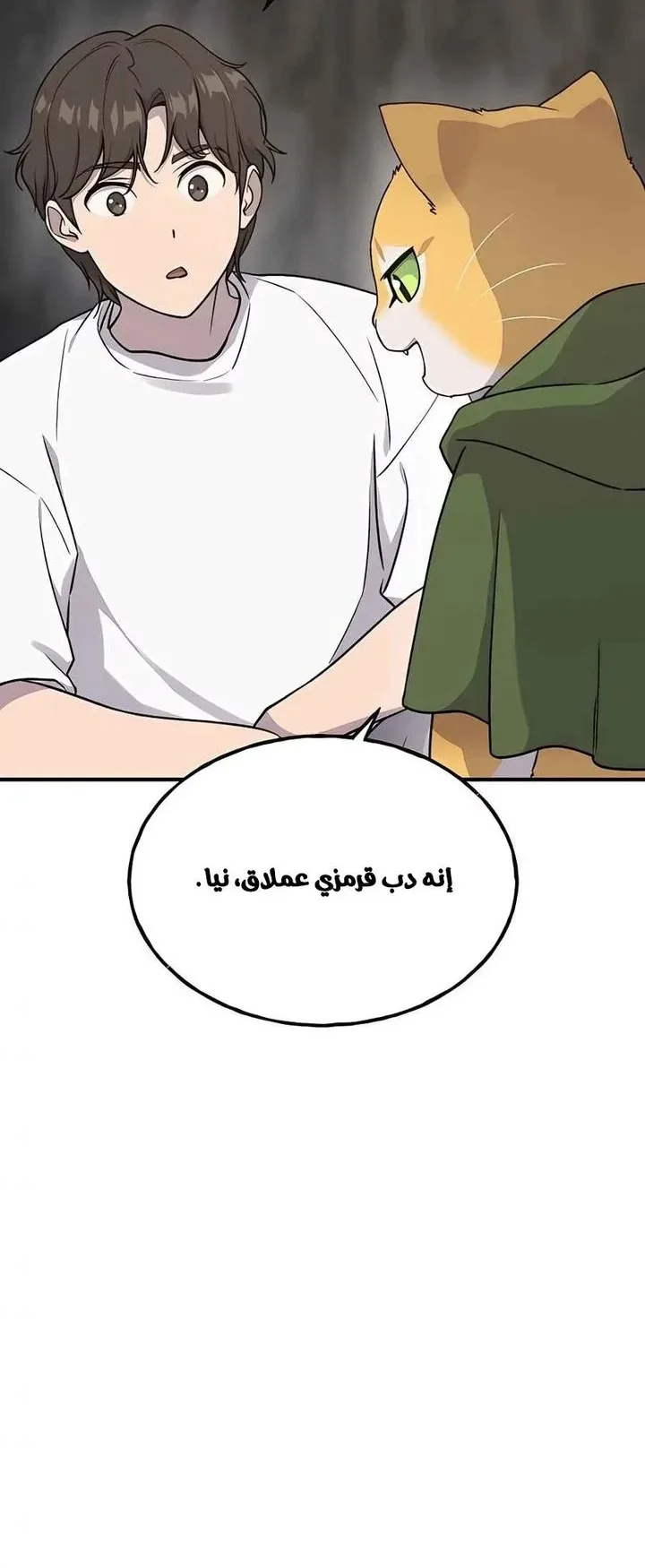 صفحة 6