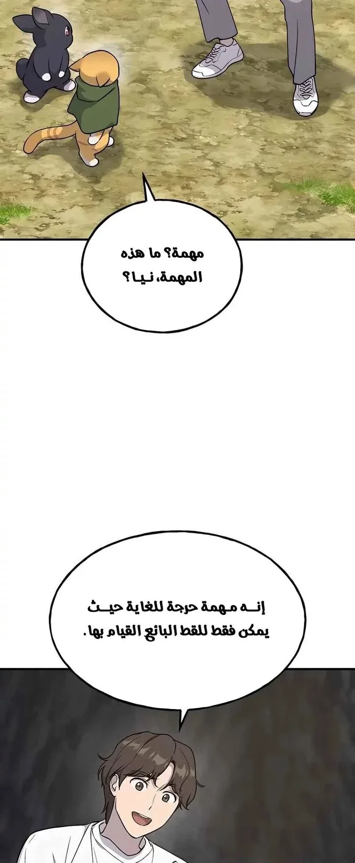 صفحة 17