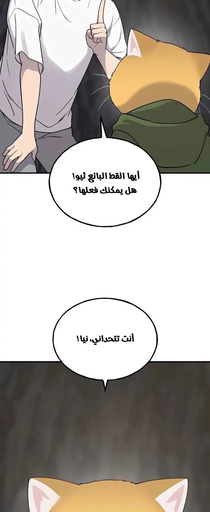 صفحة 18