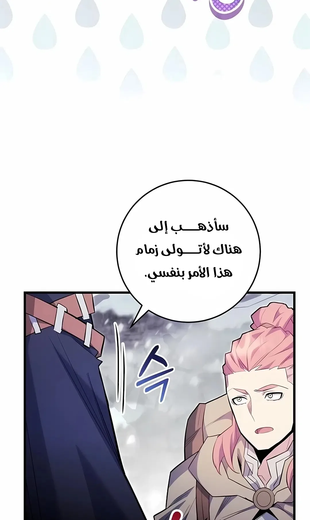صفحة 13