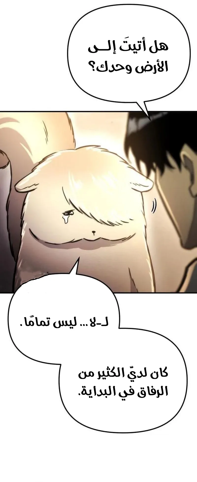صفحة 43
