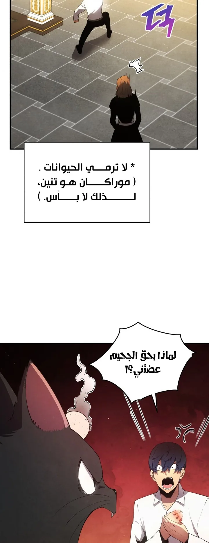 صفحة 20