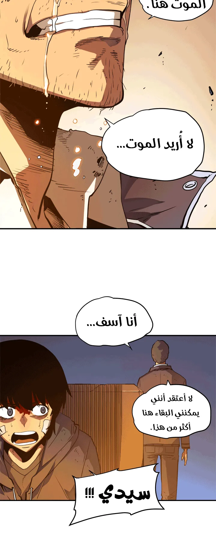 صفحة 41