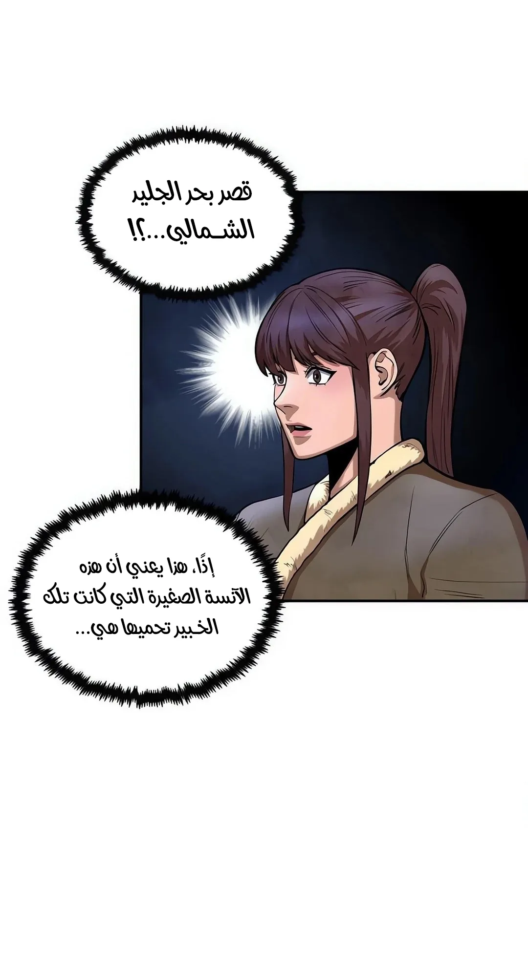 صفحة 17