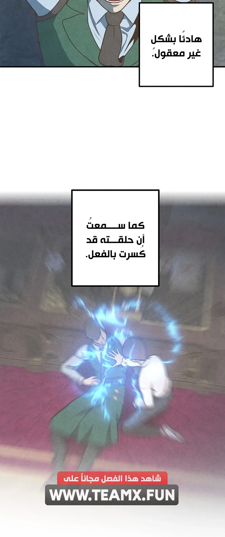 صفحة 13