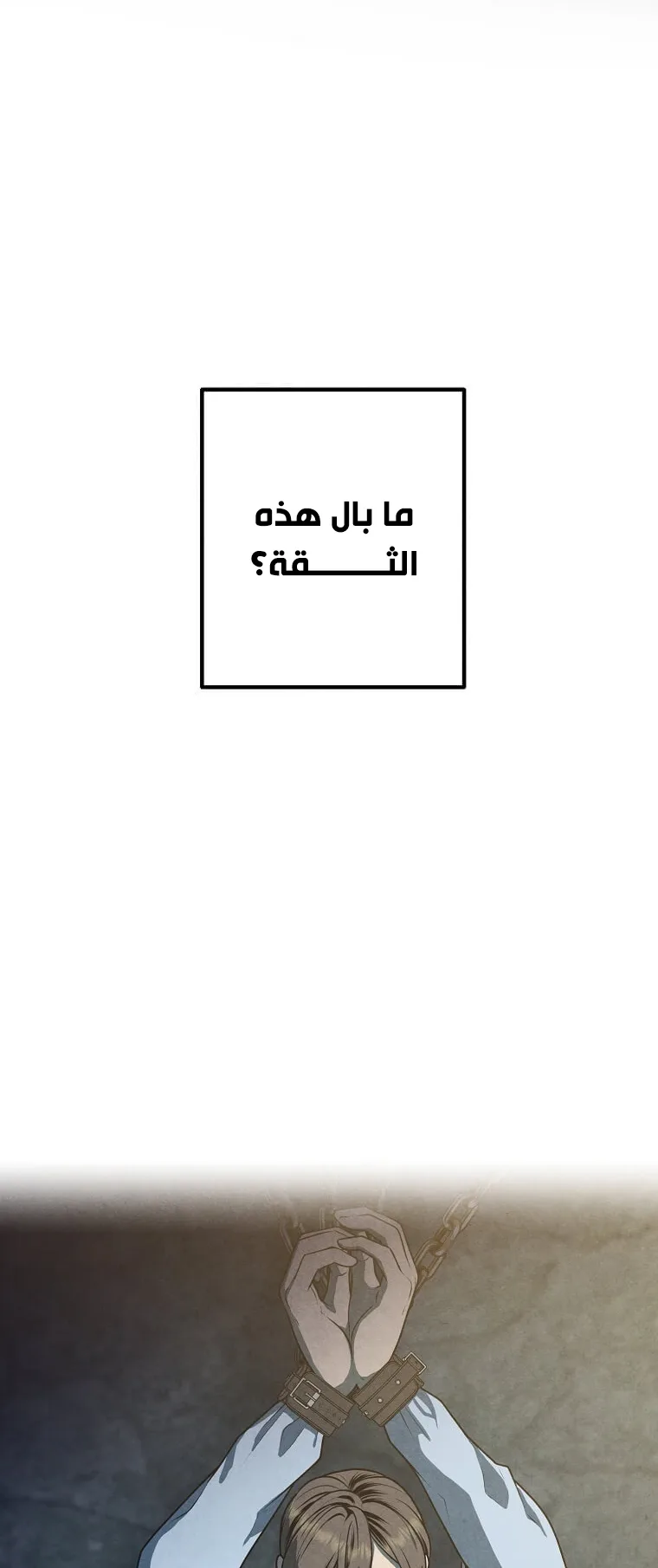 صفحة 14