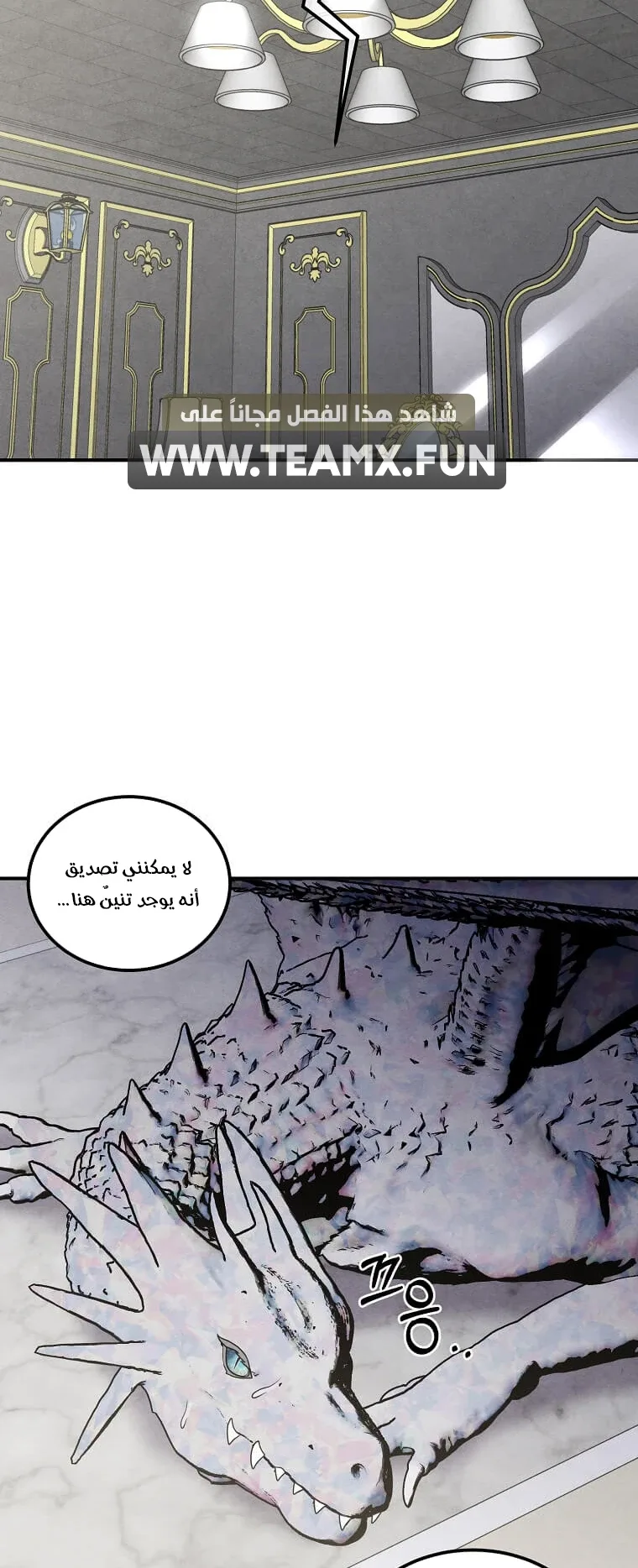 صفحة 41