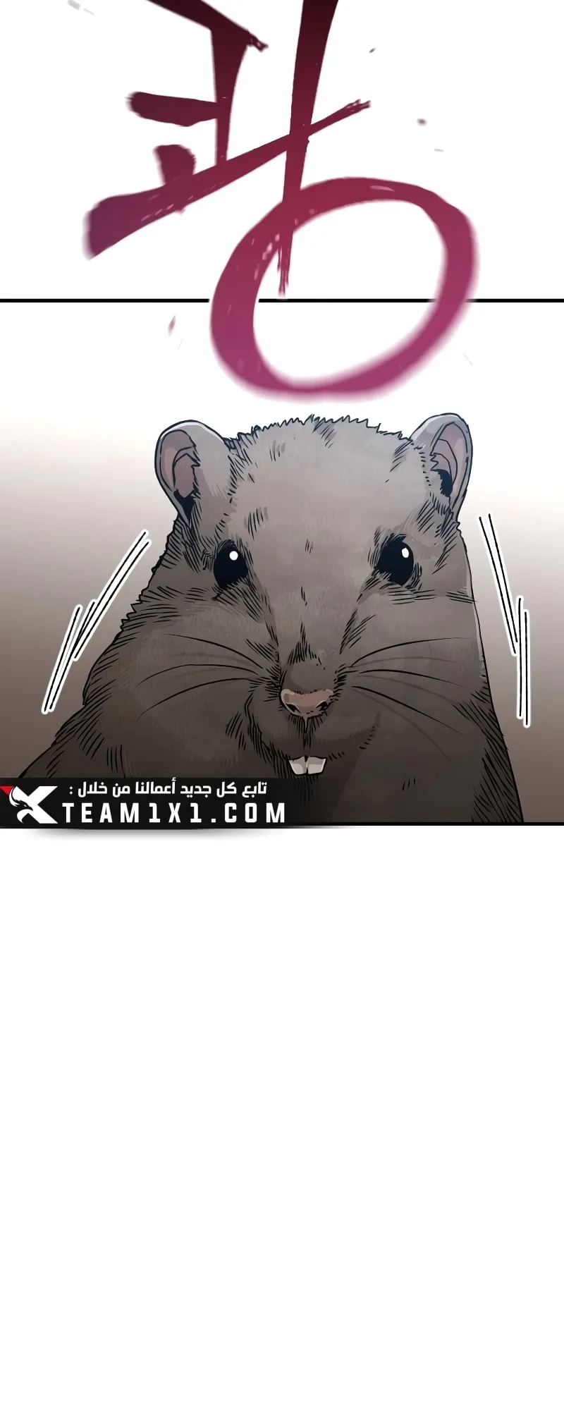 صفحة 5