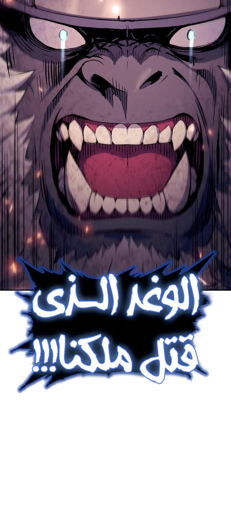 صفحة 17