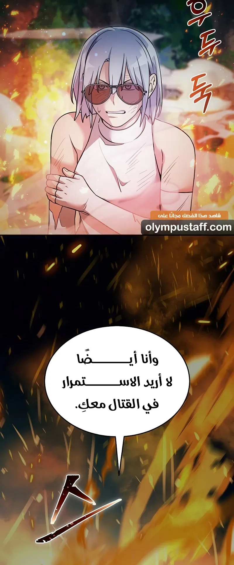 صفحة 31