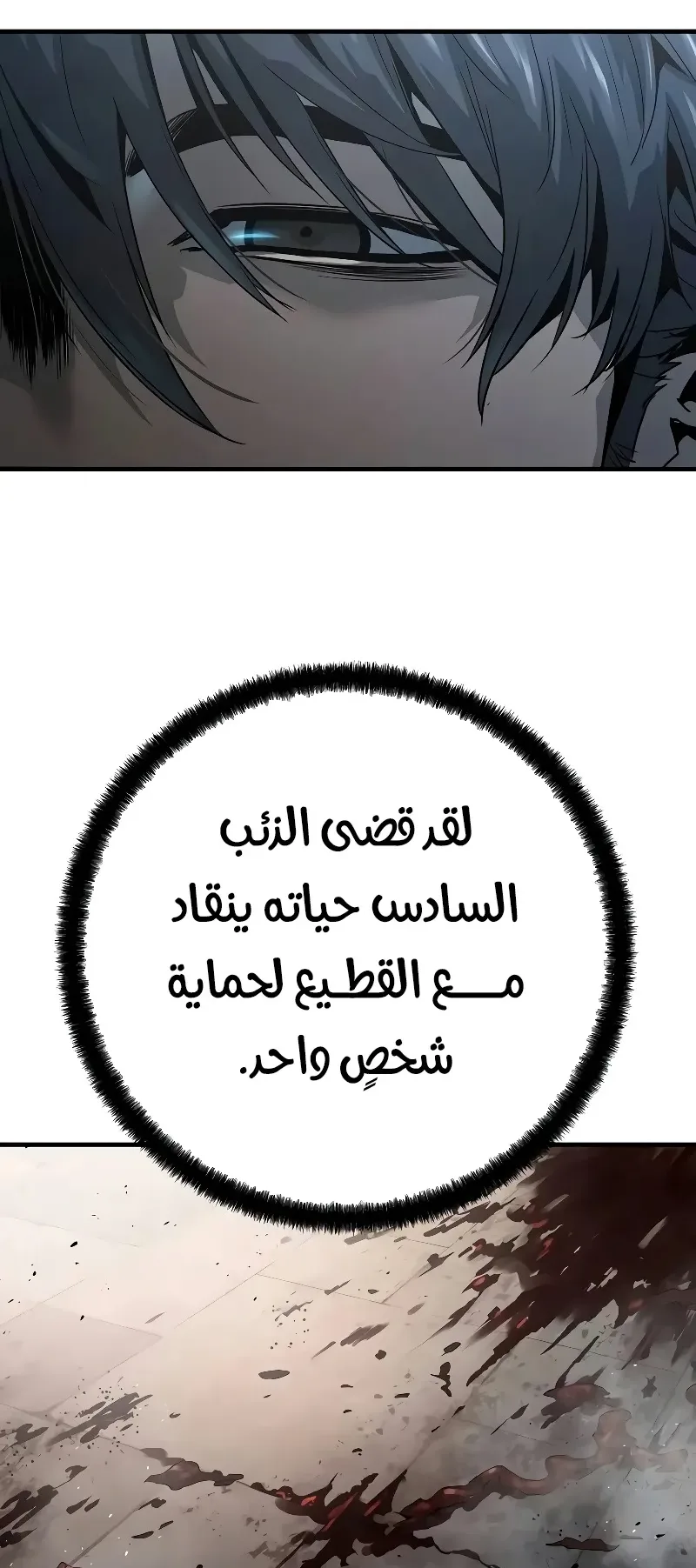 صفحة 3