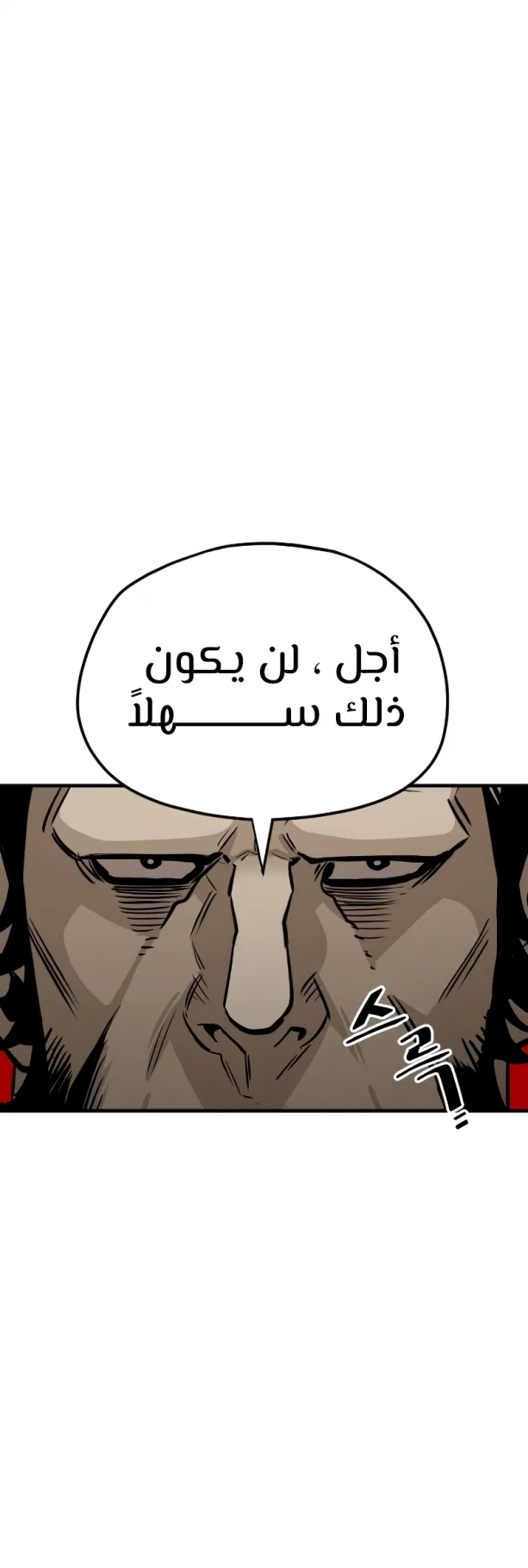 صفحة 13