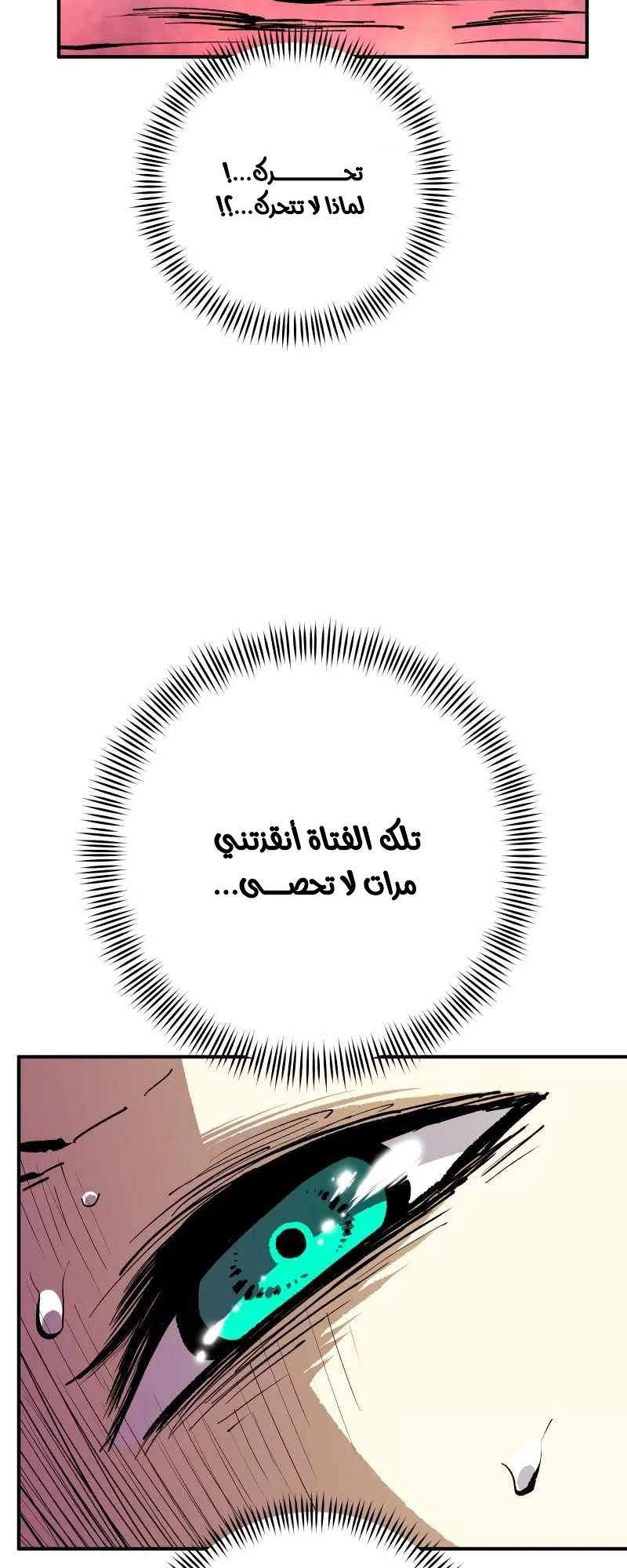صفحة 48
